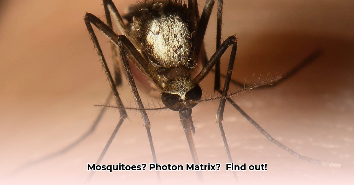 mosquito-air-defense